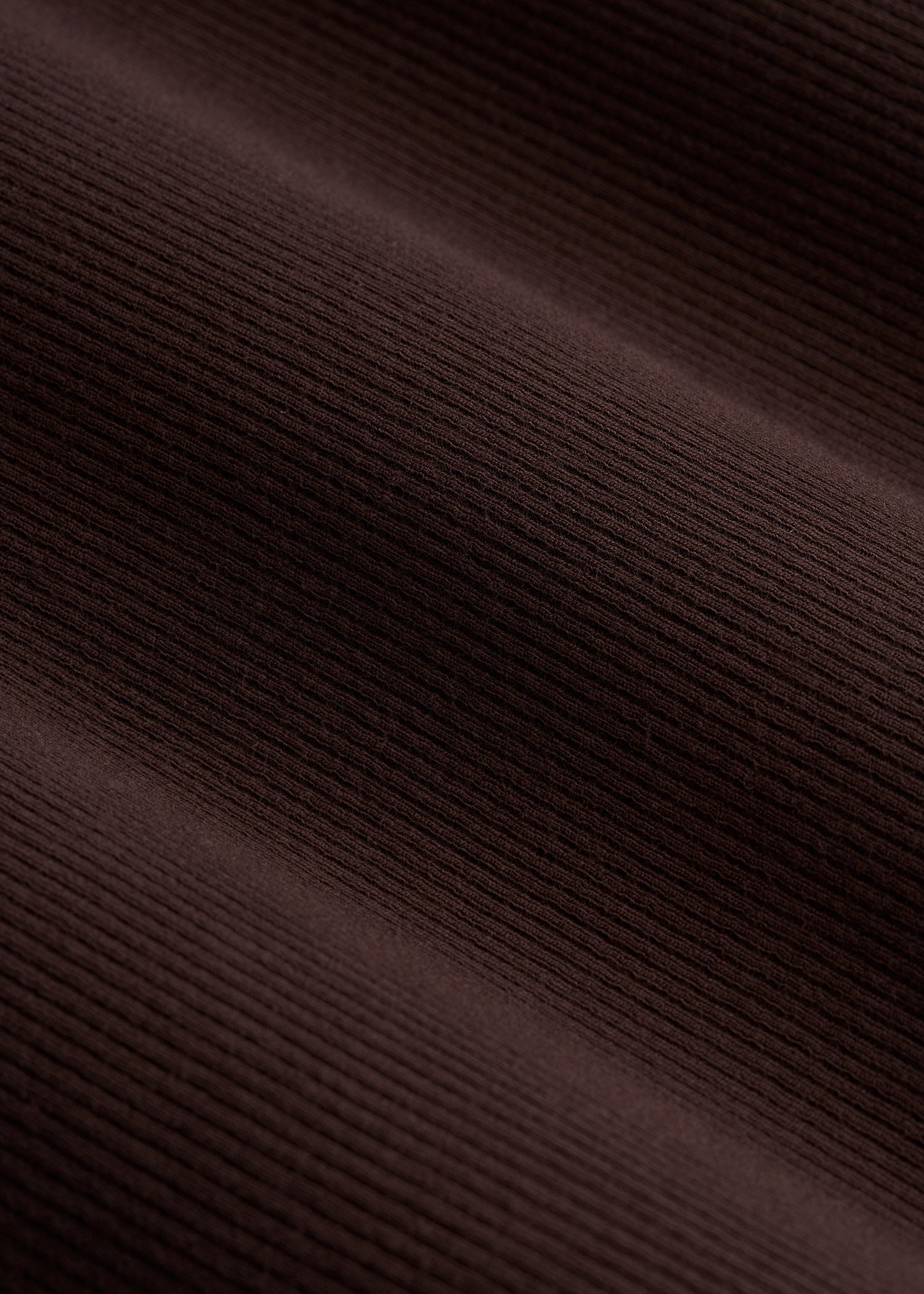 FITTED Ribbed Long Sleeve Tee for Tall Women in Espresso